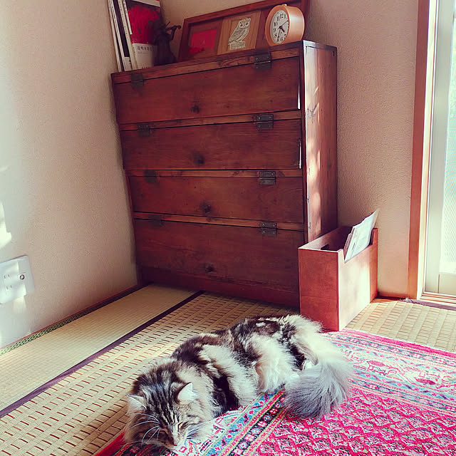 mokoさんの実例写真