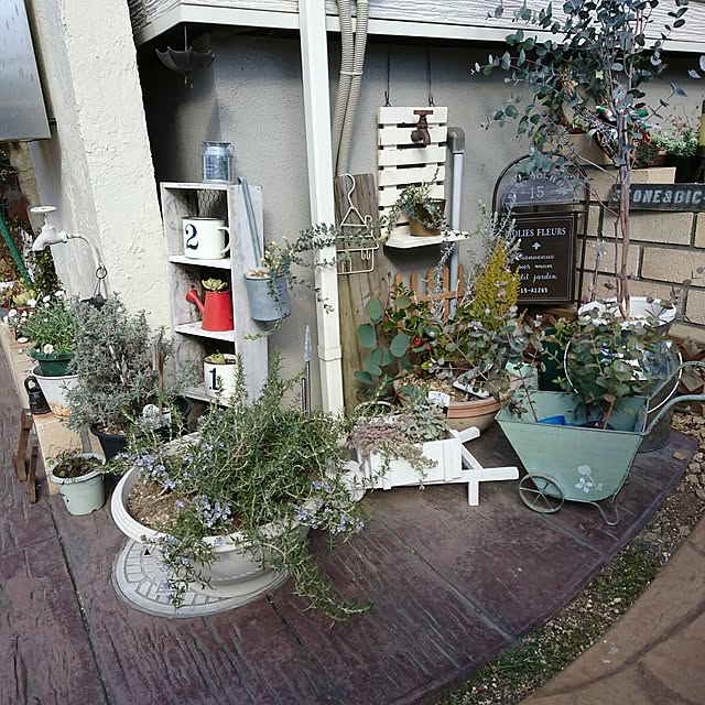 実例写真