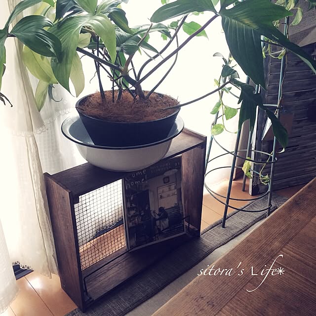 sitoraさんの実例写真
