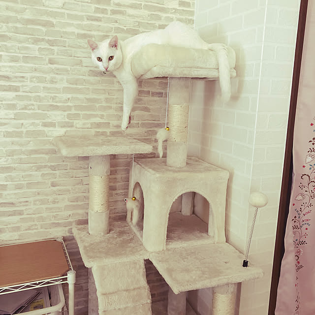 moyuhiさんの実例写真