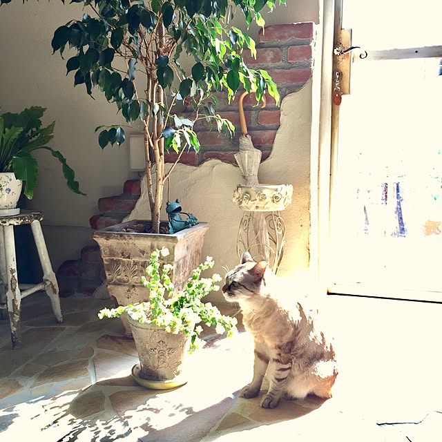 実例写真
