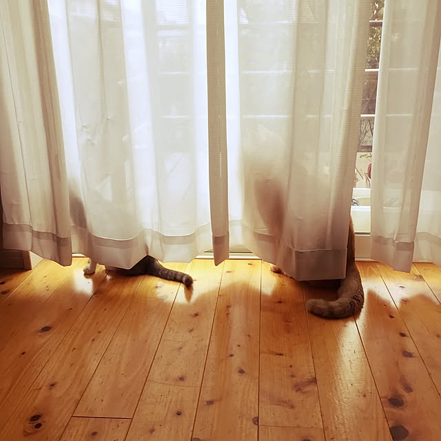 chiimalさんの実例写真