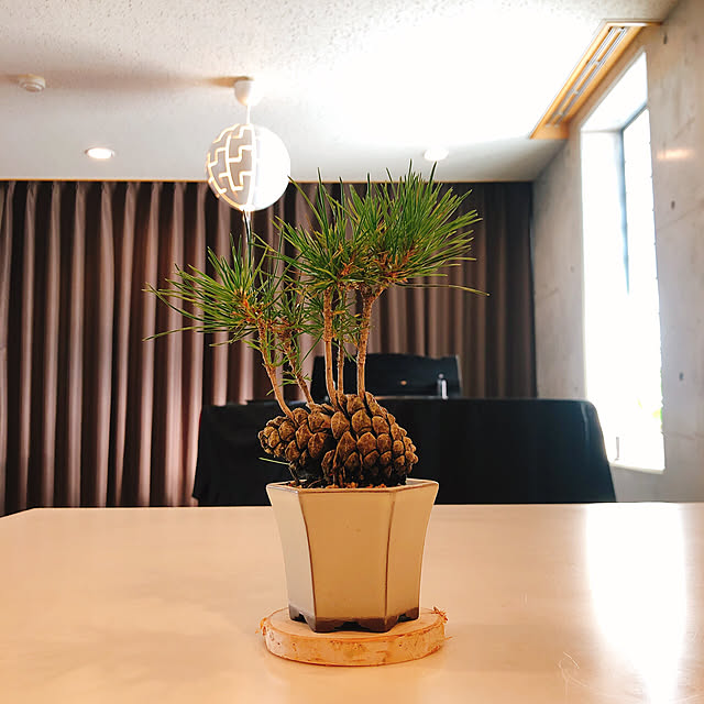 kewpieさんの実例写真