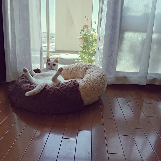 NOAHさんの部屋