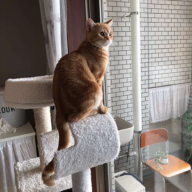 Atelier.mさんの実例写真