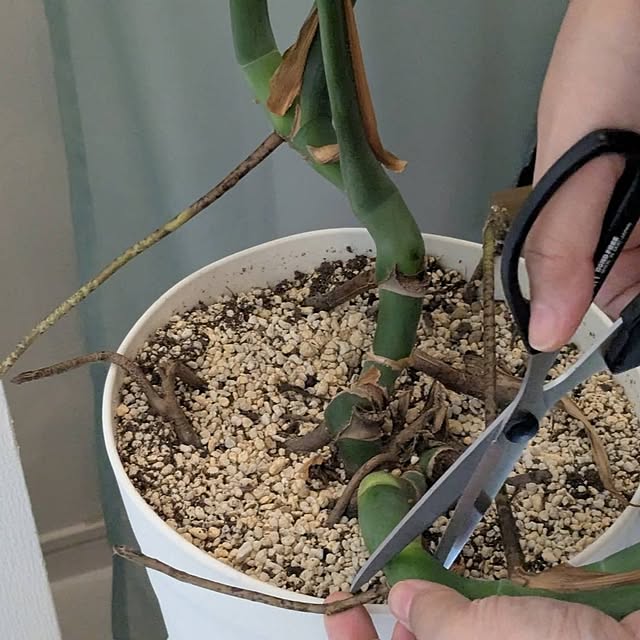 kolo92さんの部屋