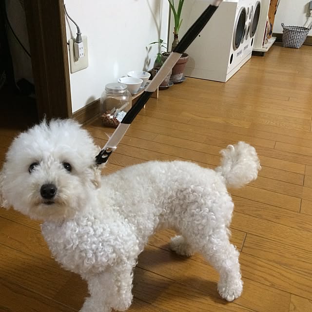 mocoyuki113さんの実例写真