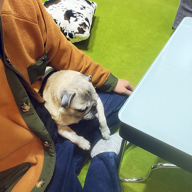 kellyさんの実例写真