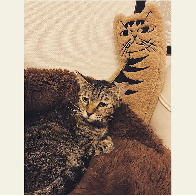 BTGさんの実例写真