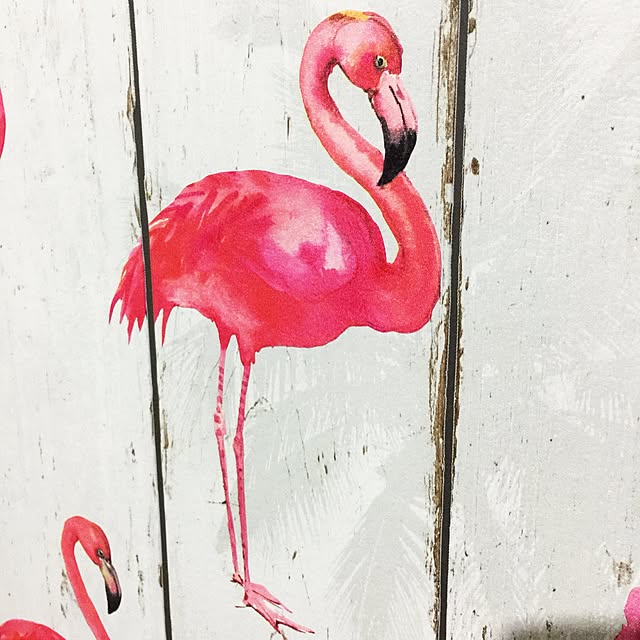 chi-taroさんの実例写真