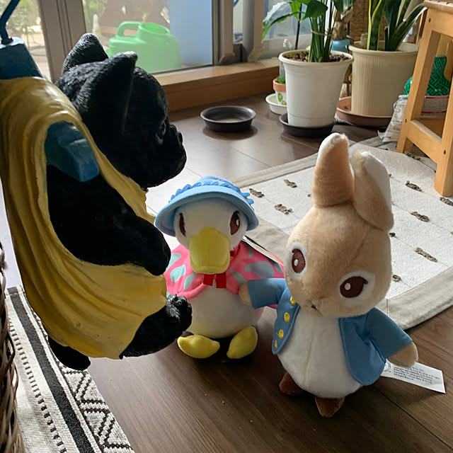 Aqettyさんの部屋