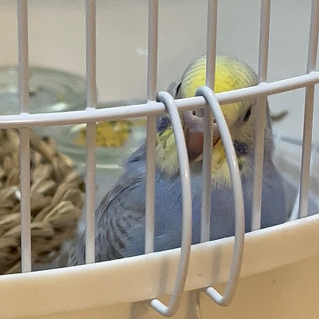 Atsukoさんの部屋