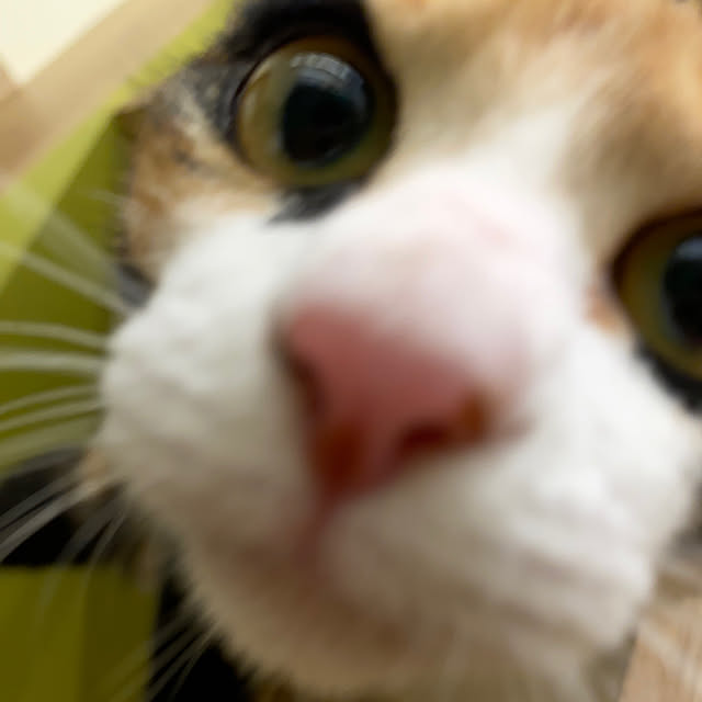 ohanaさんの部屋