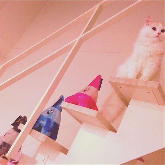 macaron_gallさんの実例写真