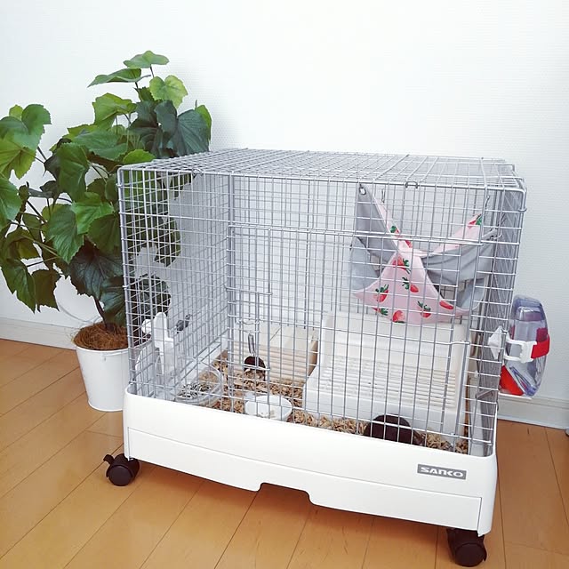 G.Mさんの部屋