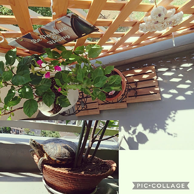 yokomokoさんの実例写真