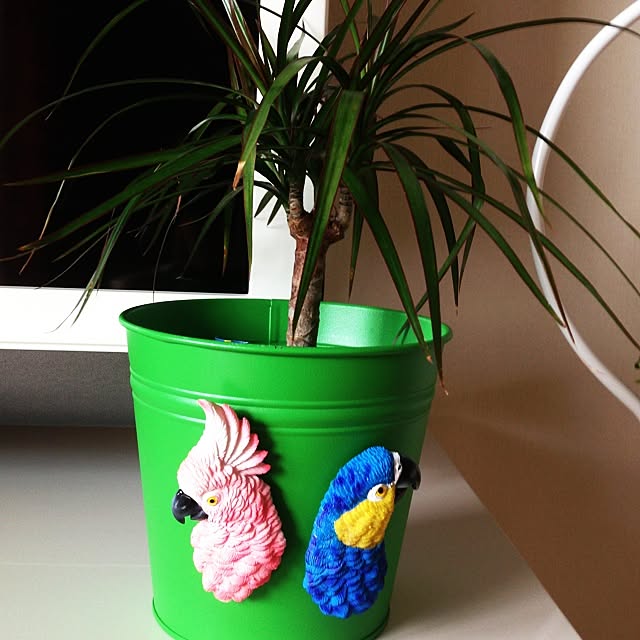 grossさんの実例写真
