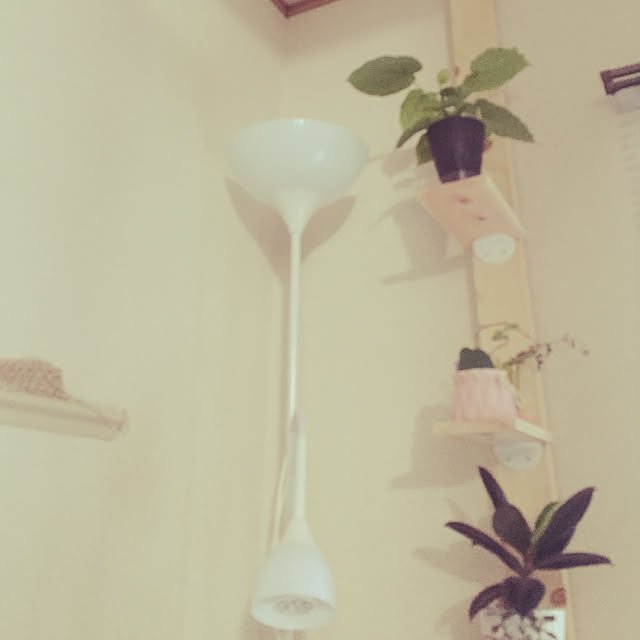 charさんの実例写真