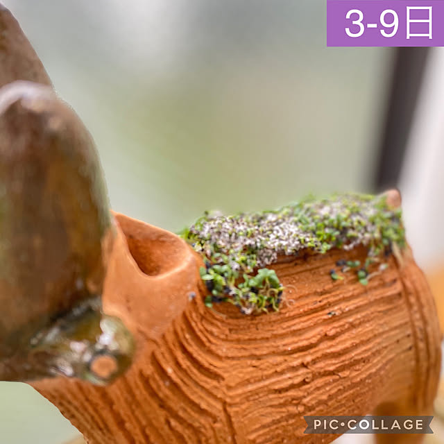 aureaさんの実例写真
