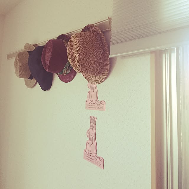 chesterさんの実例写真