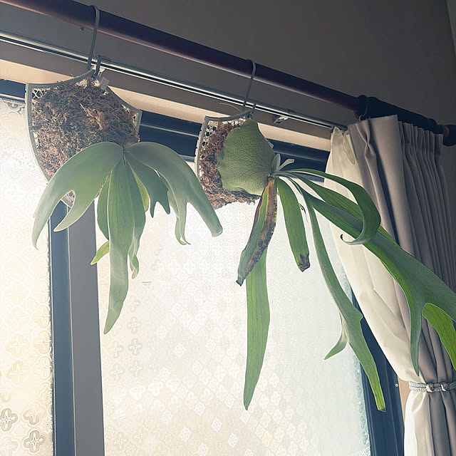 namiさんの実例写真