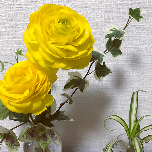 yuchisa521さんの実例写真
