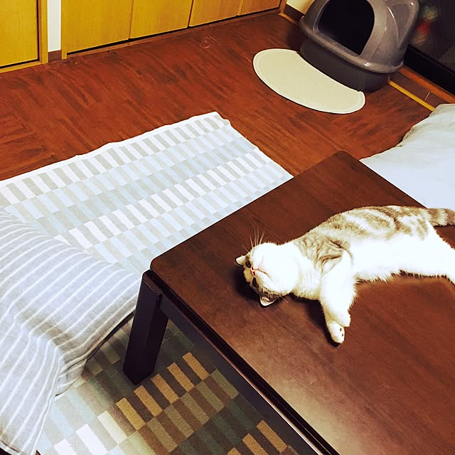 narashimhaさんの実例写真