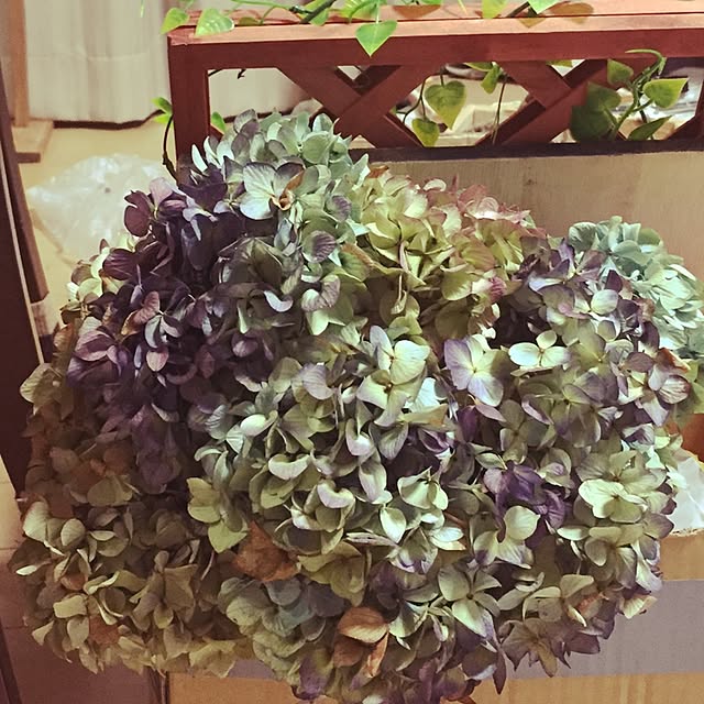 na_chanさんの実例写真