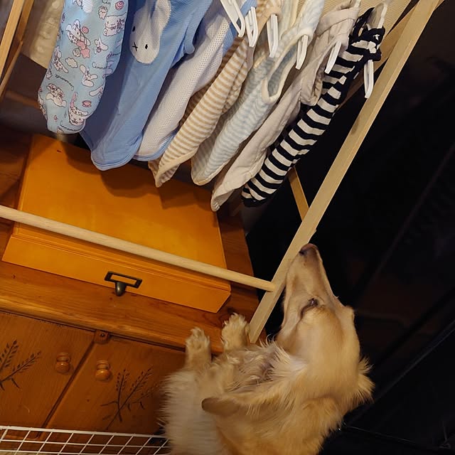 JUNMARIKAさんの部屋
