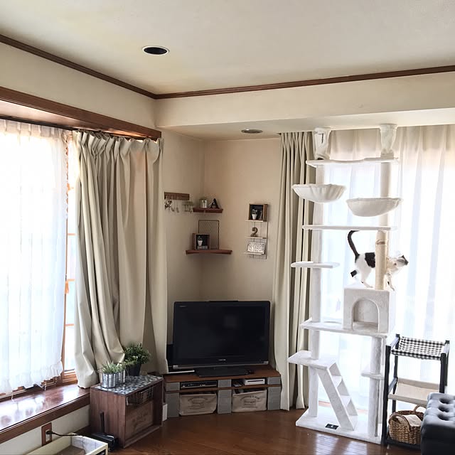 mahi1101さんの実例写真