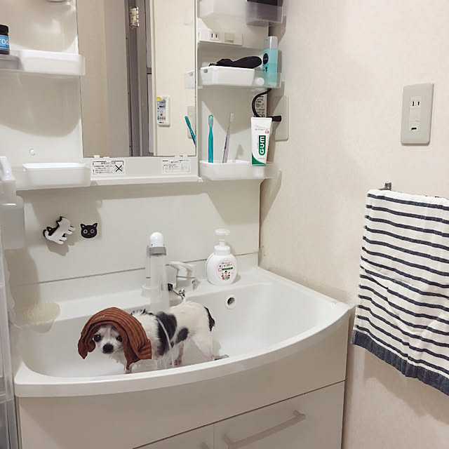 Emiさんの実例写真