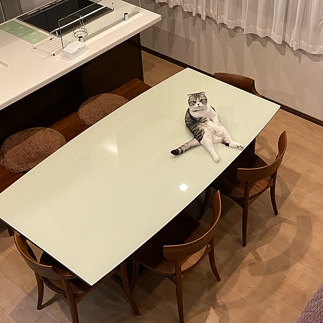 Dahliaさんの実例写真