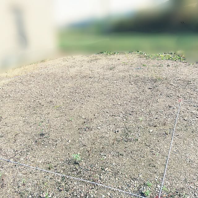 NOPAさんの実例写真