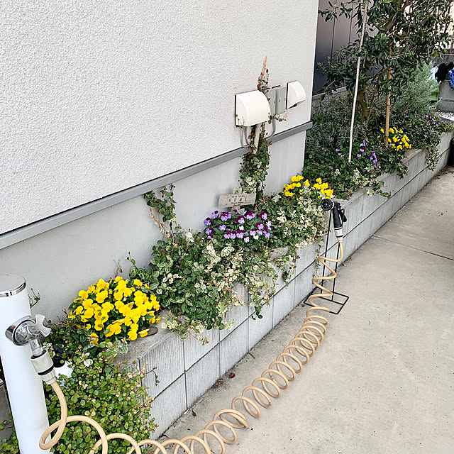 Minteaさんの部屋