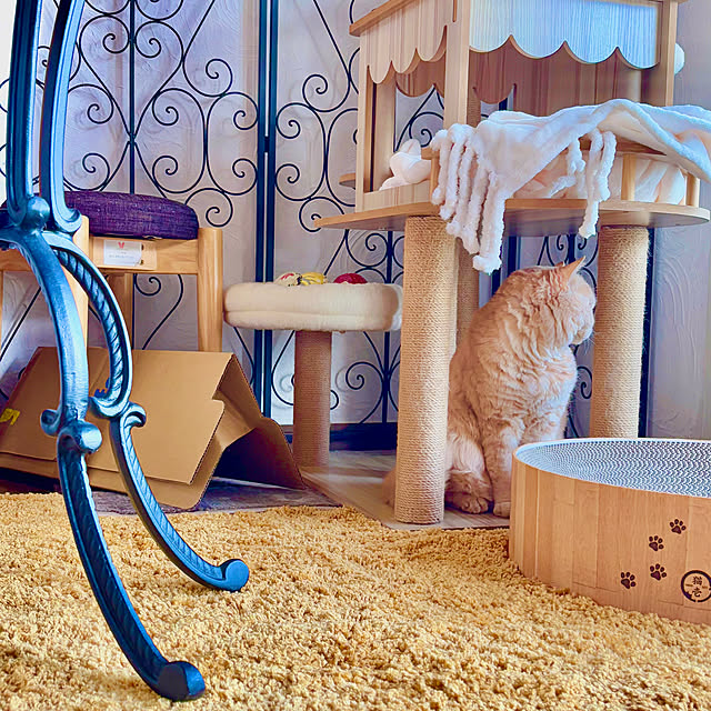 naokoさんの部屋