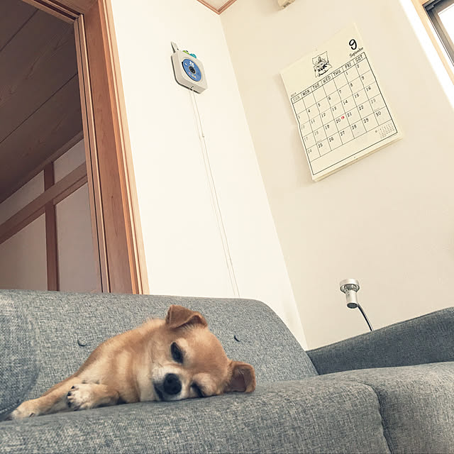 haritakaさんの実例写真