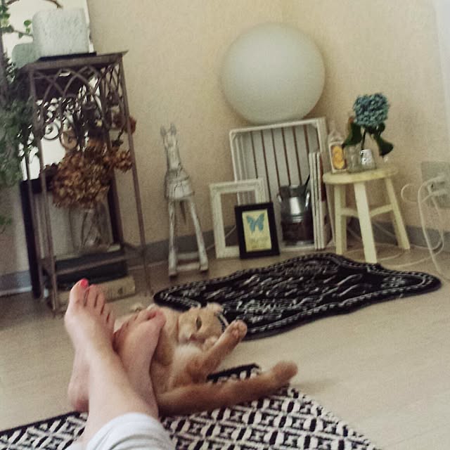 cottonさんの実例写真