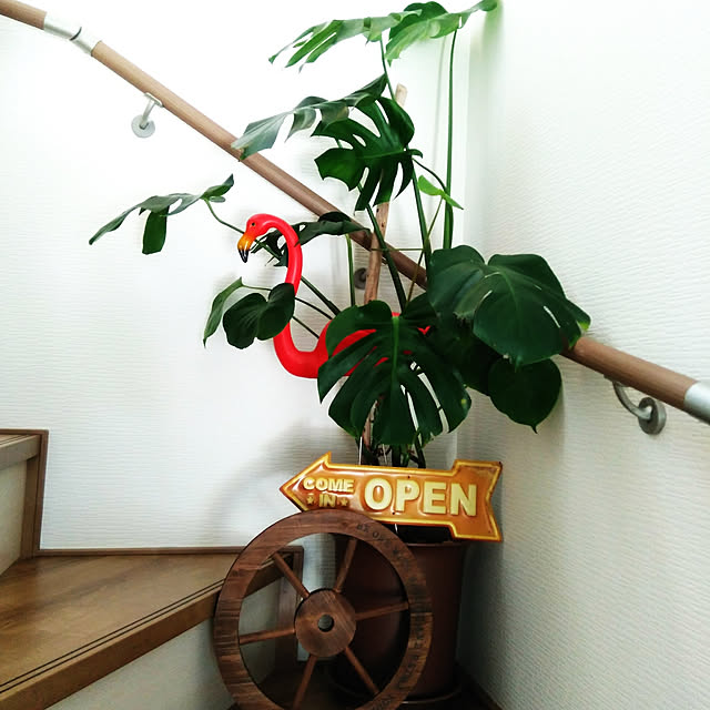 koto.ohanaさんの実例写真