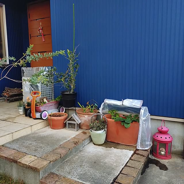 urchinさんの部屋