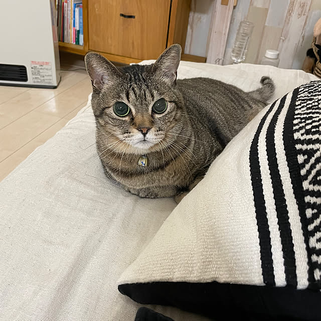 t-famさんの部屋