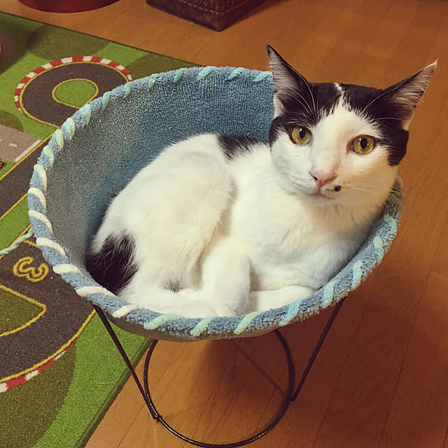 tobbyさんの実例写真
