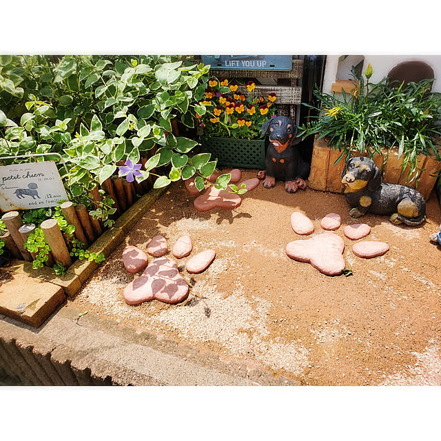 koyuki-111さんの実例写真