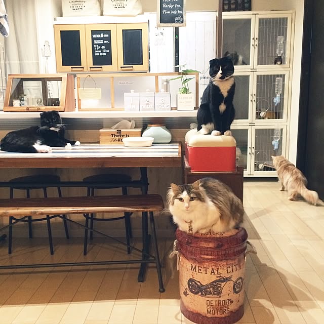 mikan0607さんの実例写真