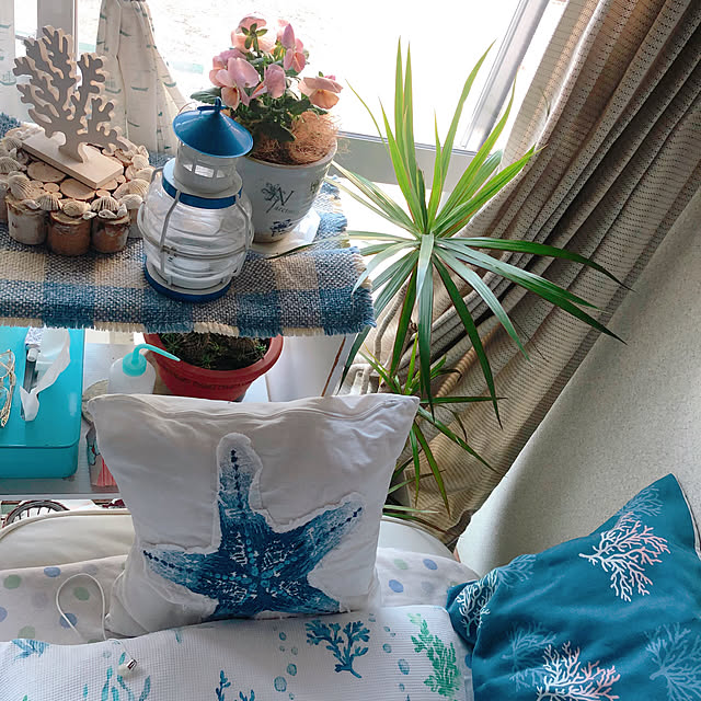 Malamaさんの実例写真