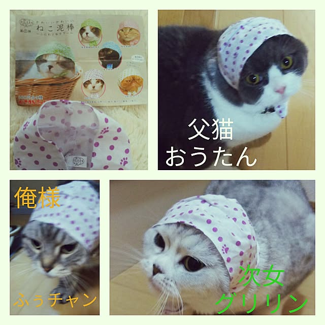 nyan5さんの実例写真