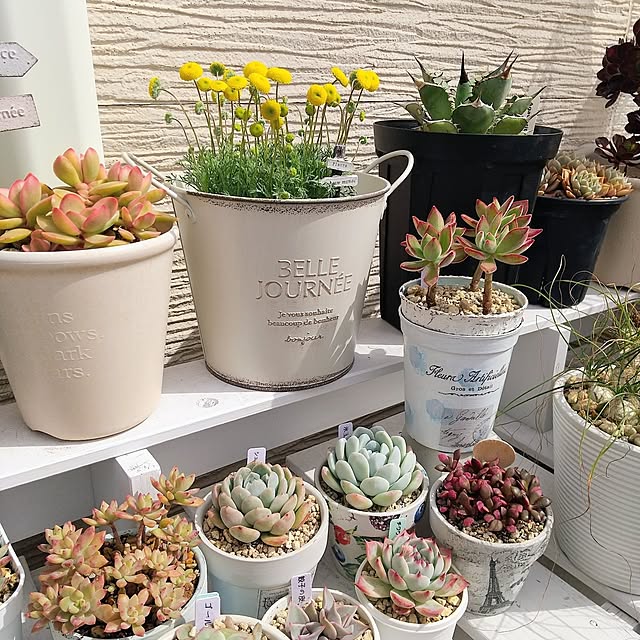 meiさんの実例写真