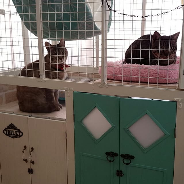 miyuさんの実例写真