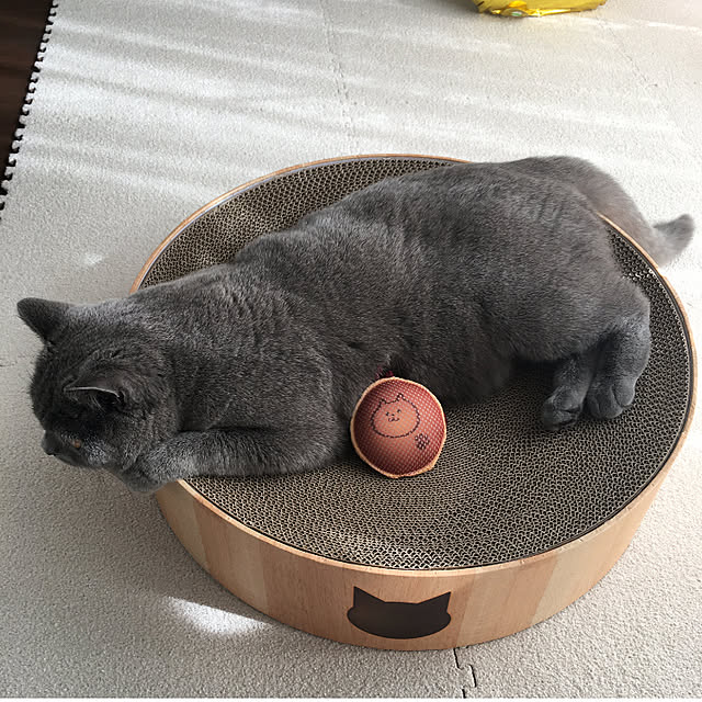kittyさんの実例写真