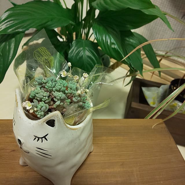 KOHAKUさんの実例写真