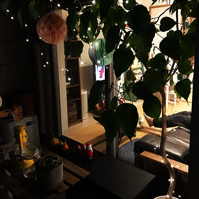 tacaco01180919さんの実例写真